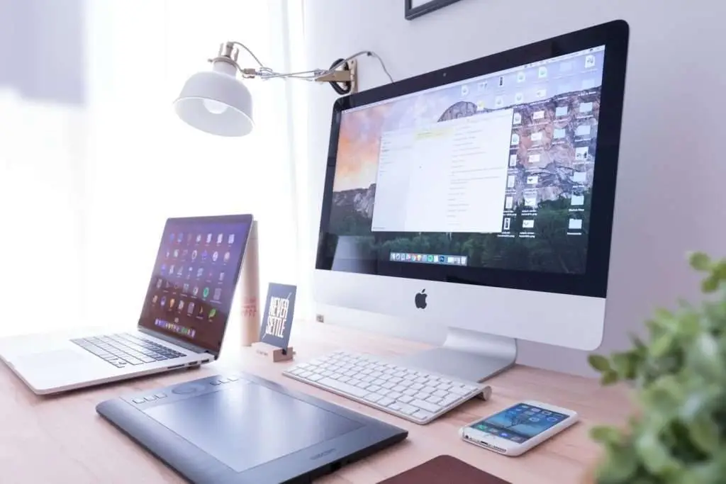 Web development training